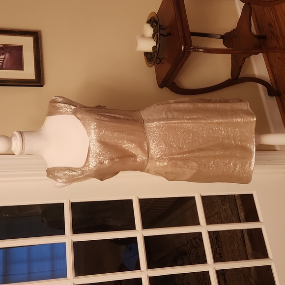 W118 by Walter Baker Dresses & Skirts - NWT W118 Gold slinky Becky Dress M